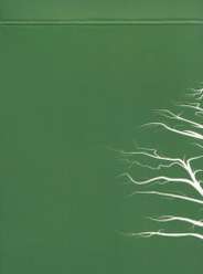 Z Playing Card Company thumbnail